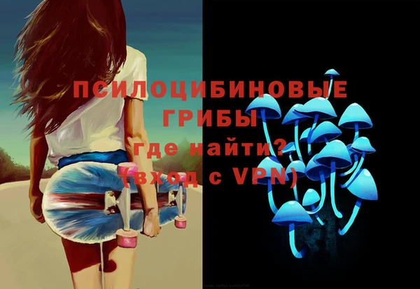 PSILOCYBIN Арсеньев